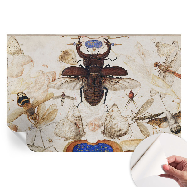 Samolepicí fotografická tapeta Přirozená harmonie