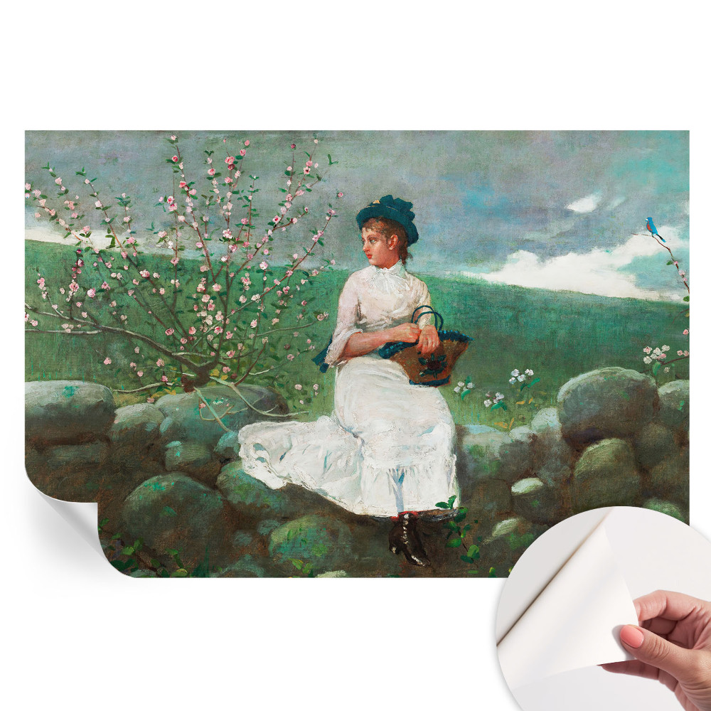 Samolepicí tapeta do obývacího pokoje Květinový mír