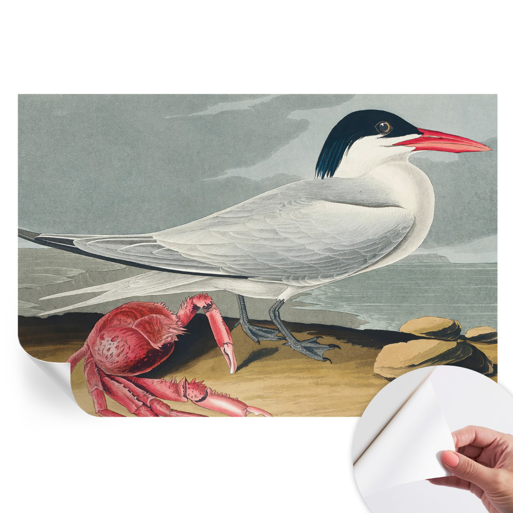 Moderní fototapeta do obývacího pokoje Mořská scenérie