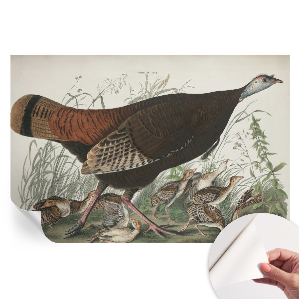 Samolepicí fototapeta do ložnice Přirozená harmonie