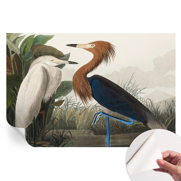 Samolepicí fototapeta Ptáci v rostlinách