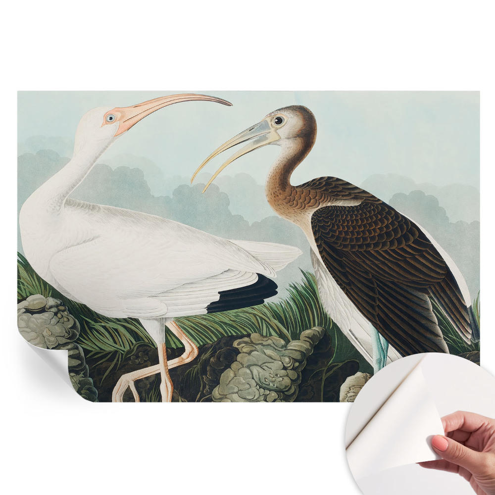 Samolepicí tapeta do obývacího pokoje Ptačí pár