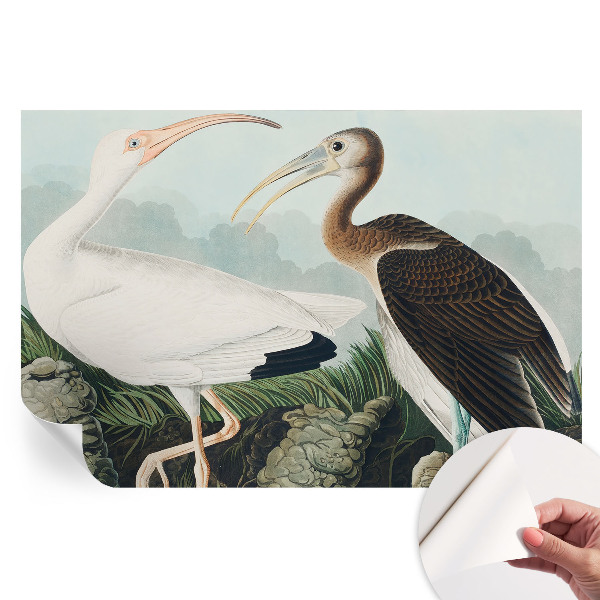 Samolepicí tapeta do obývacího pokoje Ptačí pár