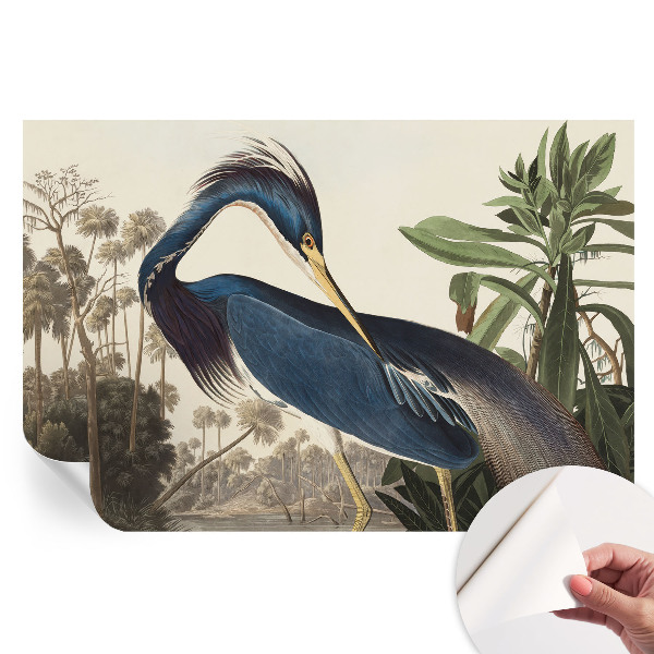 Moderní fototapeta do obývacího pokoje Exotická příroda