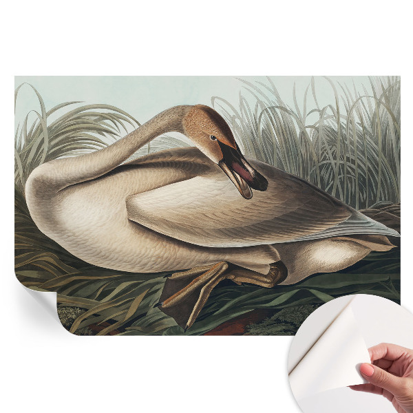 Samolepicí fototapeta do ložnice Přírodní pták