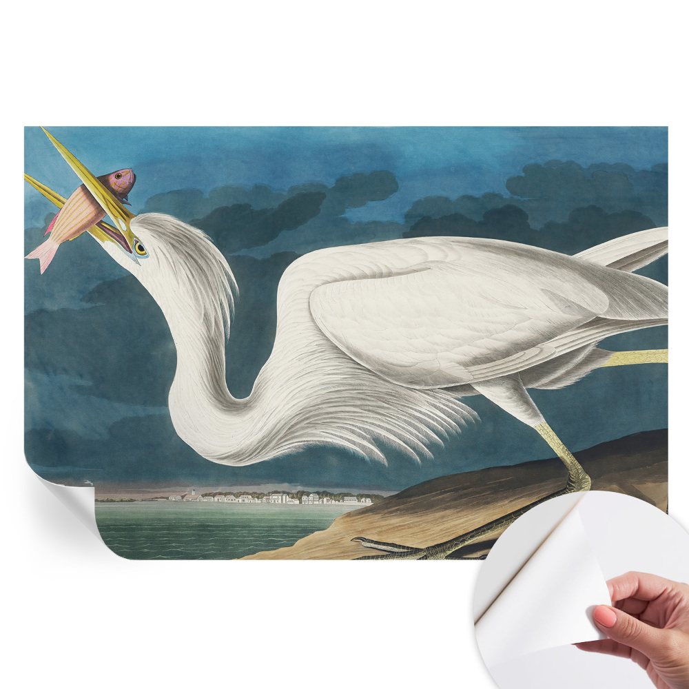 Samolepicí fotografická tapeta Pták s rybou