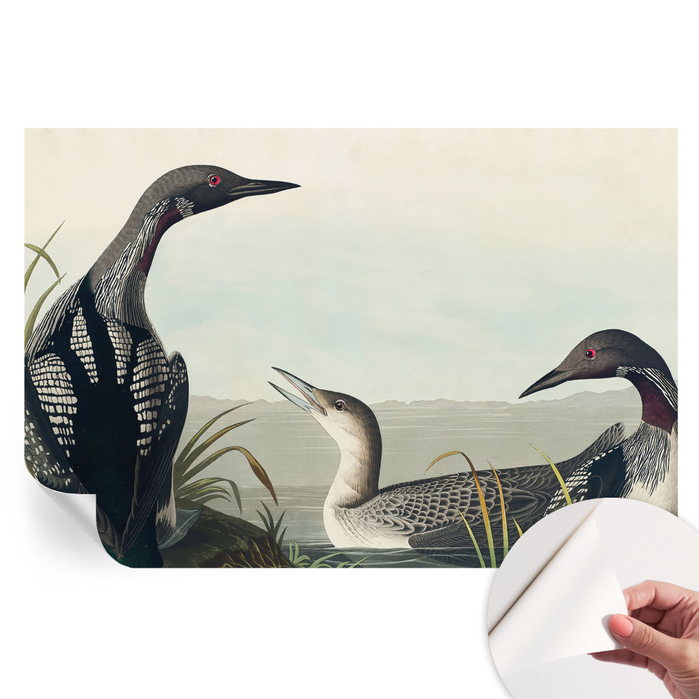 Samolepicí tapeta do obývacího pokoje Ptáci nad vodou