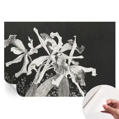 Samolepicí fototapeta s ilustrací orchideje