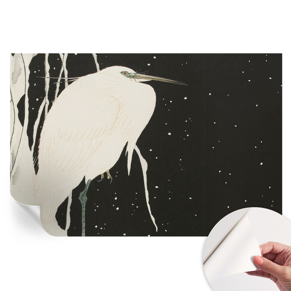 Samolepicí fotografická tapeta Zimní pták