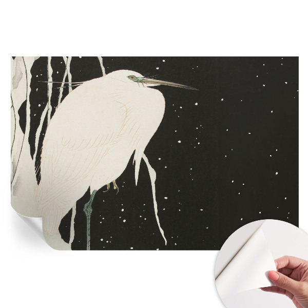 Samolepicí fotografická tapeta Zimní pták