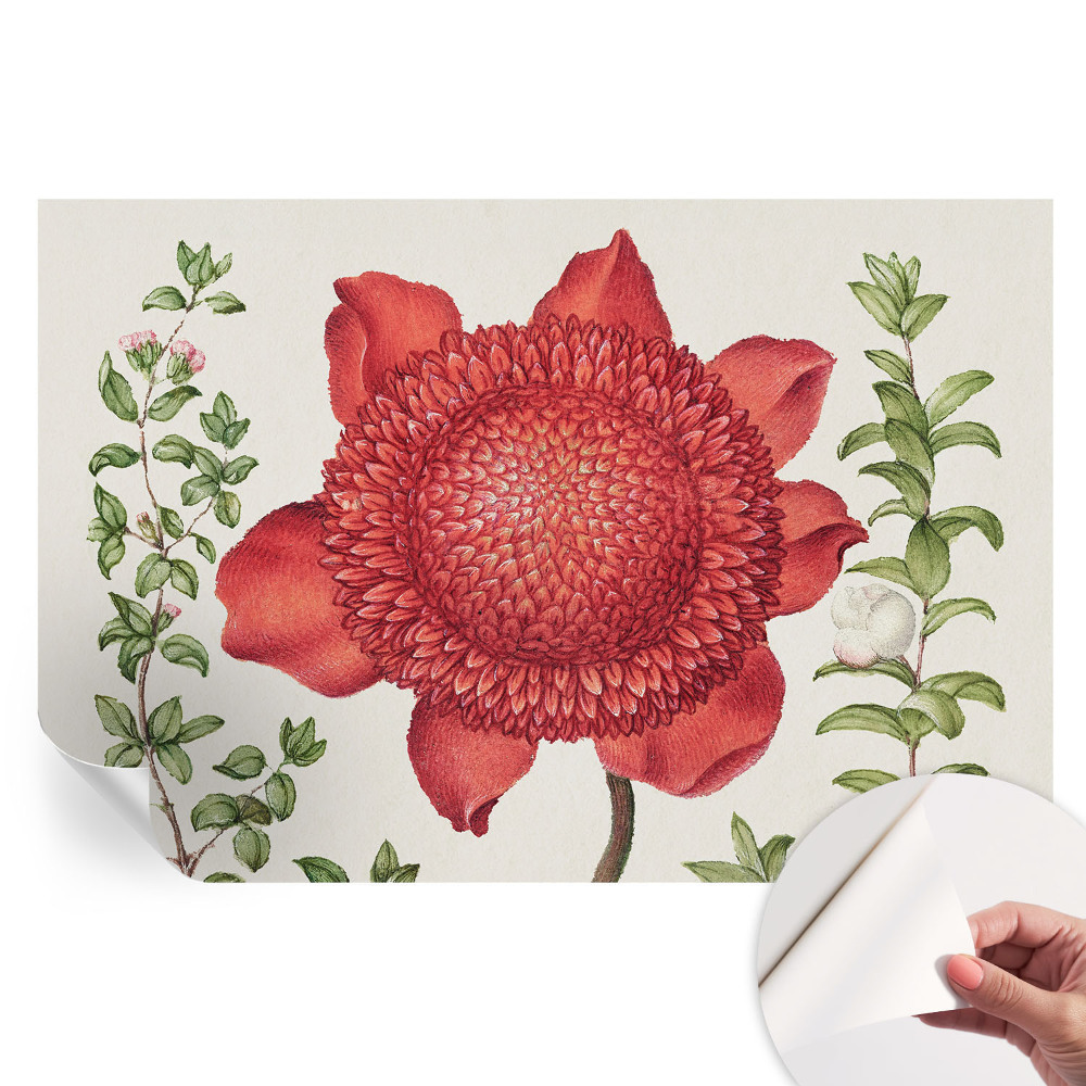 Samolepicí tapeta do obývacího pokoje Květinová elegance