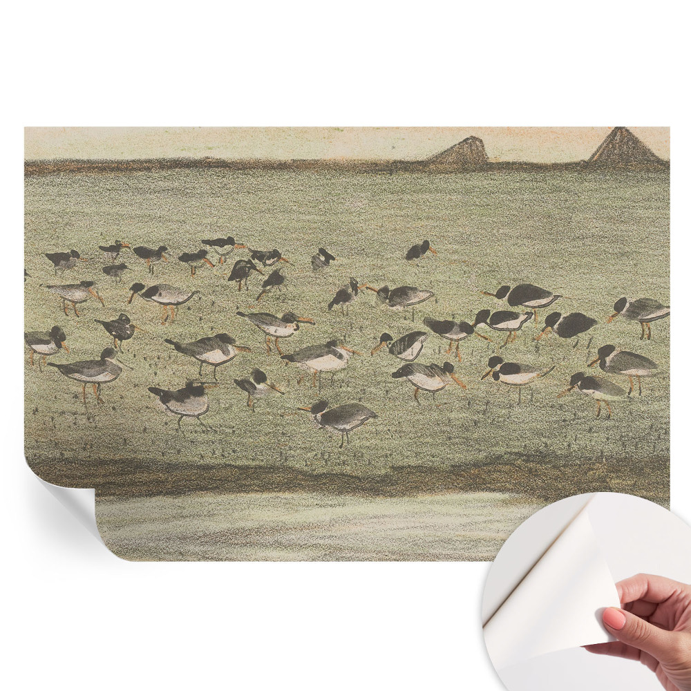 Samolepicí fototapeta Ptačí mír