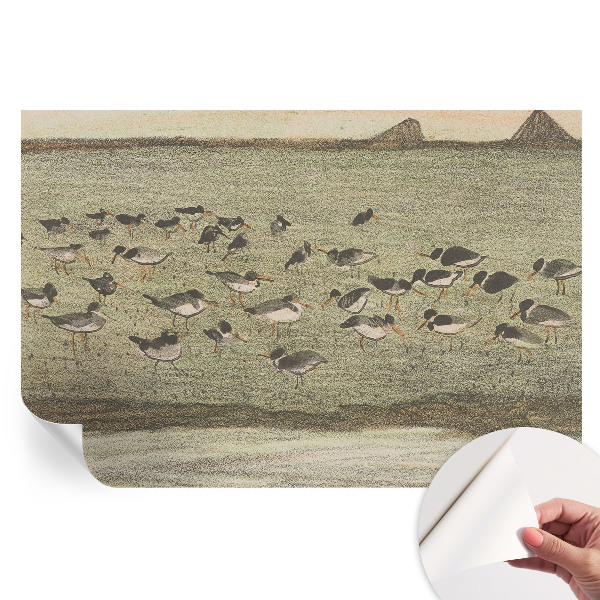 Samolepicí fototapeta Ptačí mír