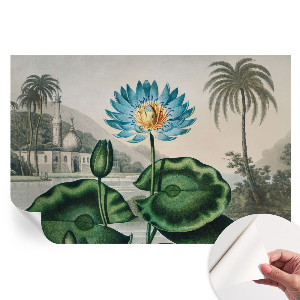 Samolepicí fototapeta Exotická krajina