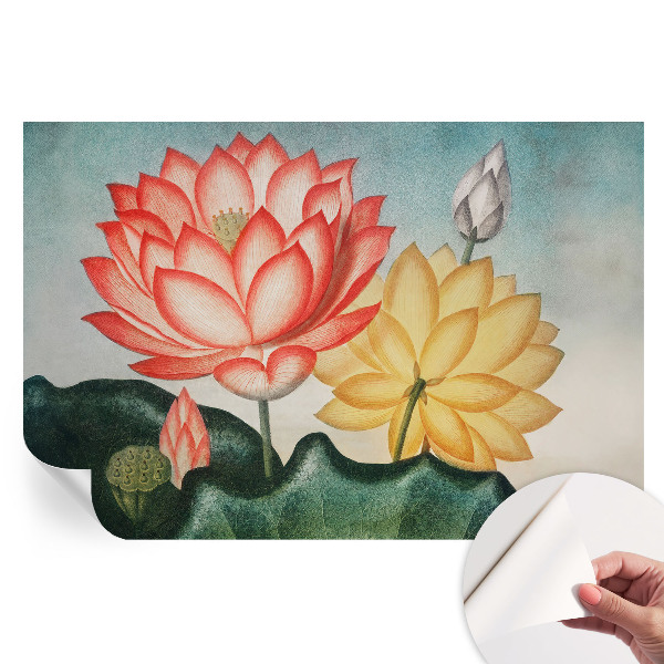 Samolepicí fotografická tapeta Lotosové květy