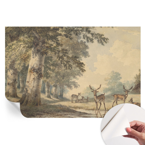 Samolepicí fototapeta Lesní klid