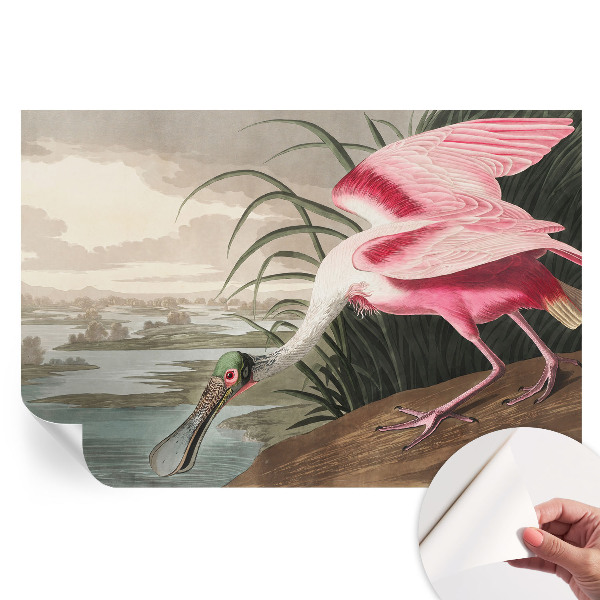 Samolepicí fototapeta do ložnice Exotický pták