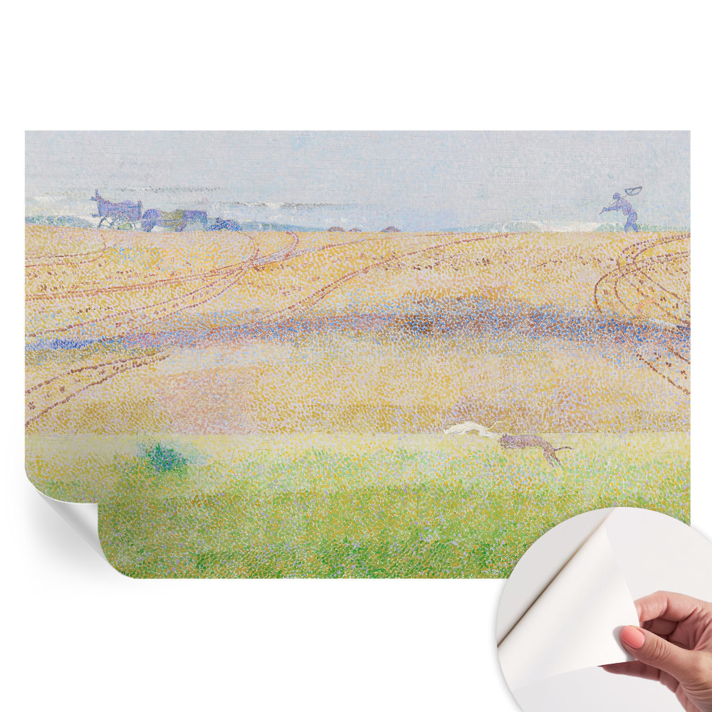 Moderní fototapeta do obývacího pokoje Letní pole