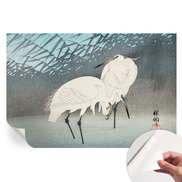 Samolepicí fototapeta Křehcí ptáci