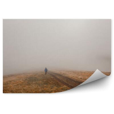 Samolepící fototapeta Tropický les mlha stromy