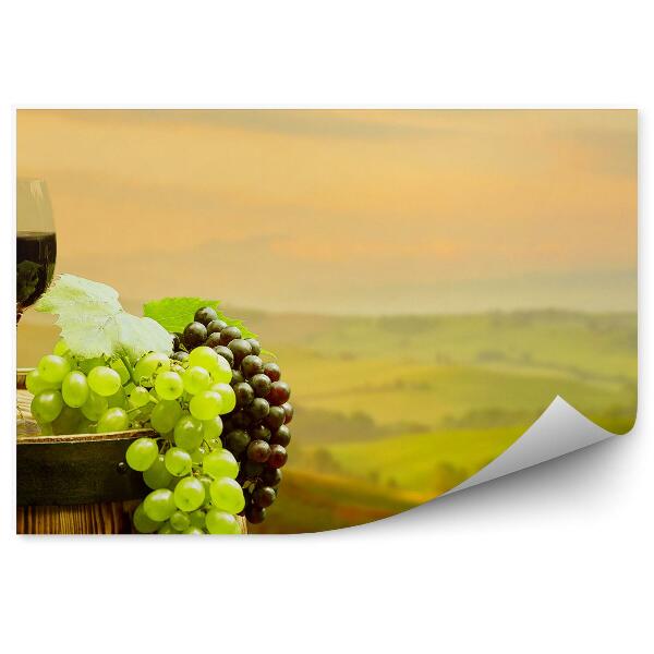 Fototapeta Toskánská krajina obraz