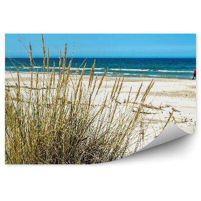 Samolepící fototapeta Travnaté duny mořská pláž Baltské moře
