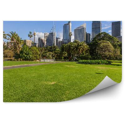 Samolepící fototapeta Sydney park zelené palmy architektura