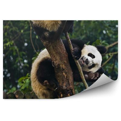Samolepící fototapeta Mávající panda