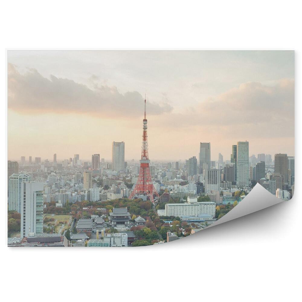 Fototapeta Hinduistický chrám Tokio stromy