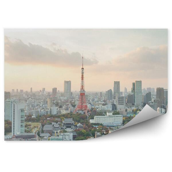 Fototapeta Hinduistický chrám Tokio stromy