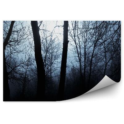 Fototapeta Stíny stromů mlha