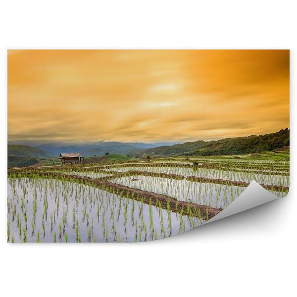 Fototapeta na zeď Most šedé budovy vesnice obrázky