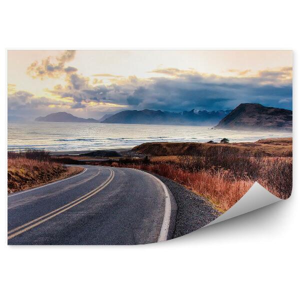 Samolepící fototapeta Vozovka silnice tráva voda ostrov