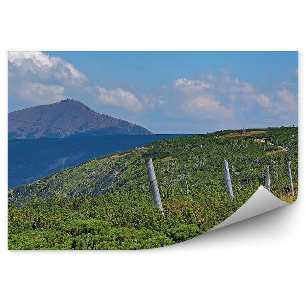 Fototapeta na zeď Sudetská horská stezka krajina