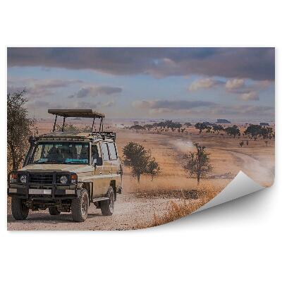 Samolepící fototapeta Zebry antilopy antilopy safari zvířata cestování