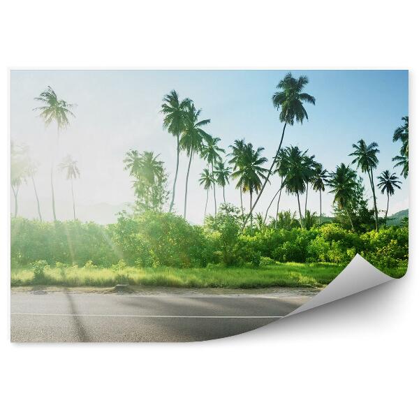 Fototapeta na zeď Džungle oceán skály obloha mraky palmy Seychely