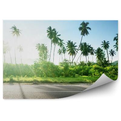 Fototapeta na zeď Džungle oceán skály obloha mraky palmy Seychely