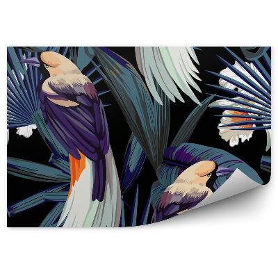 Fototapeta Ptáci, orchideje a noc v džungli