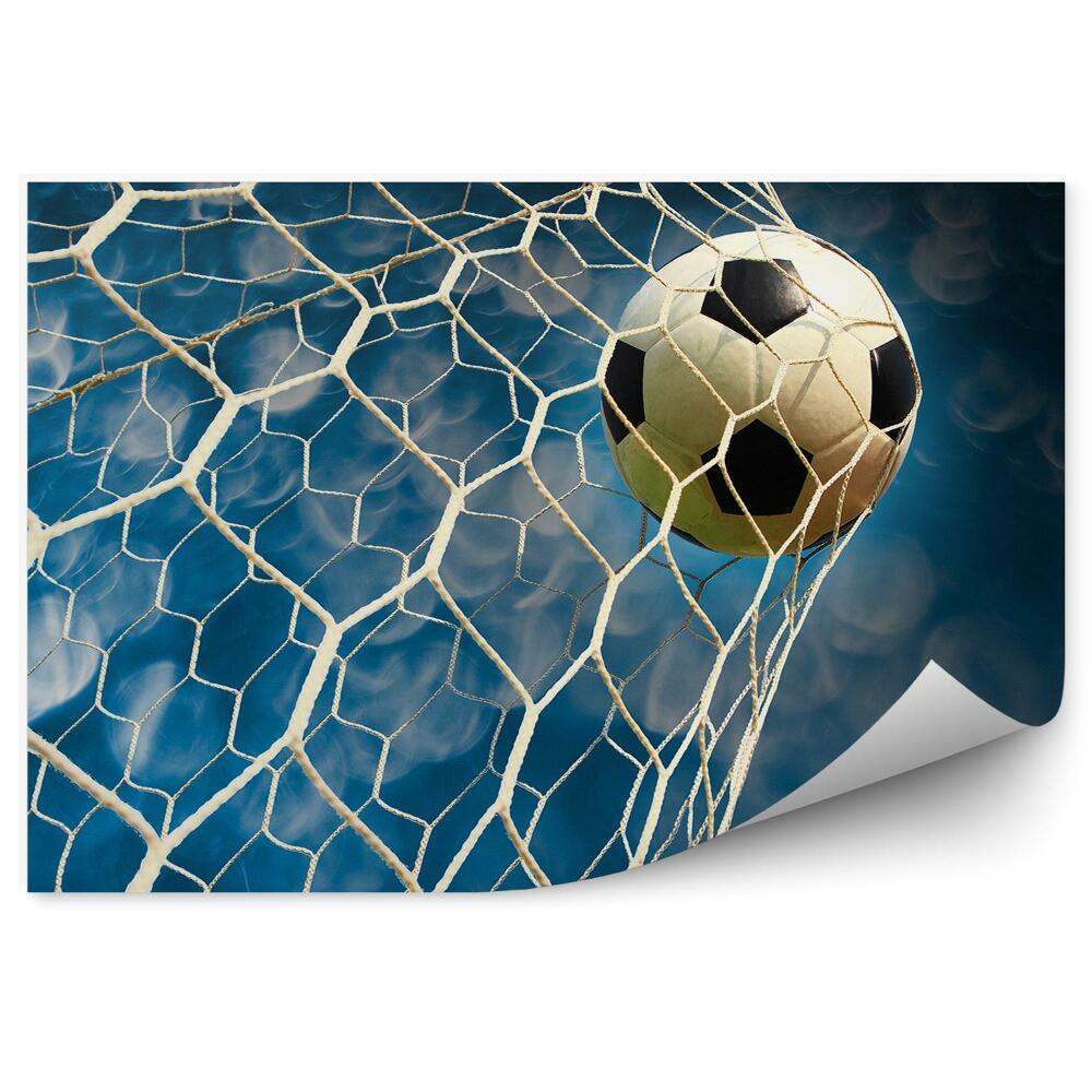 Fototapeta Brankový míč nebe