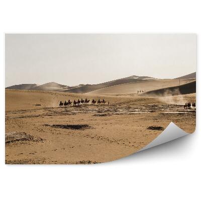 Samolepící fototapeta Hory skály pouště stromy obloha mraky