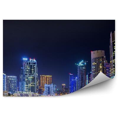 Fototapeta Panorama města mrakodrapy řeka palmy nebe