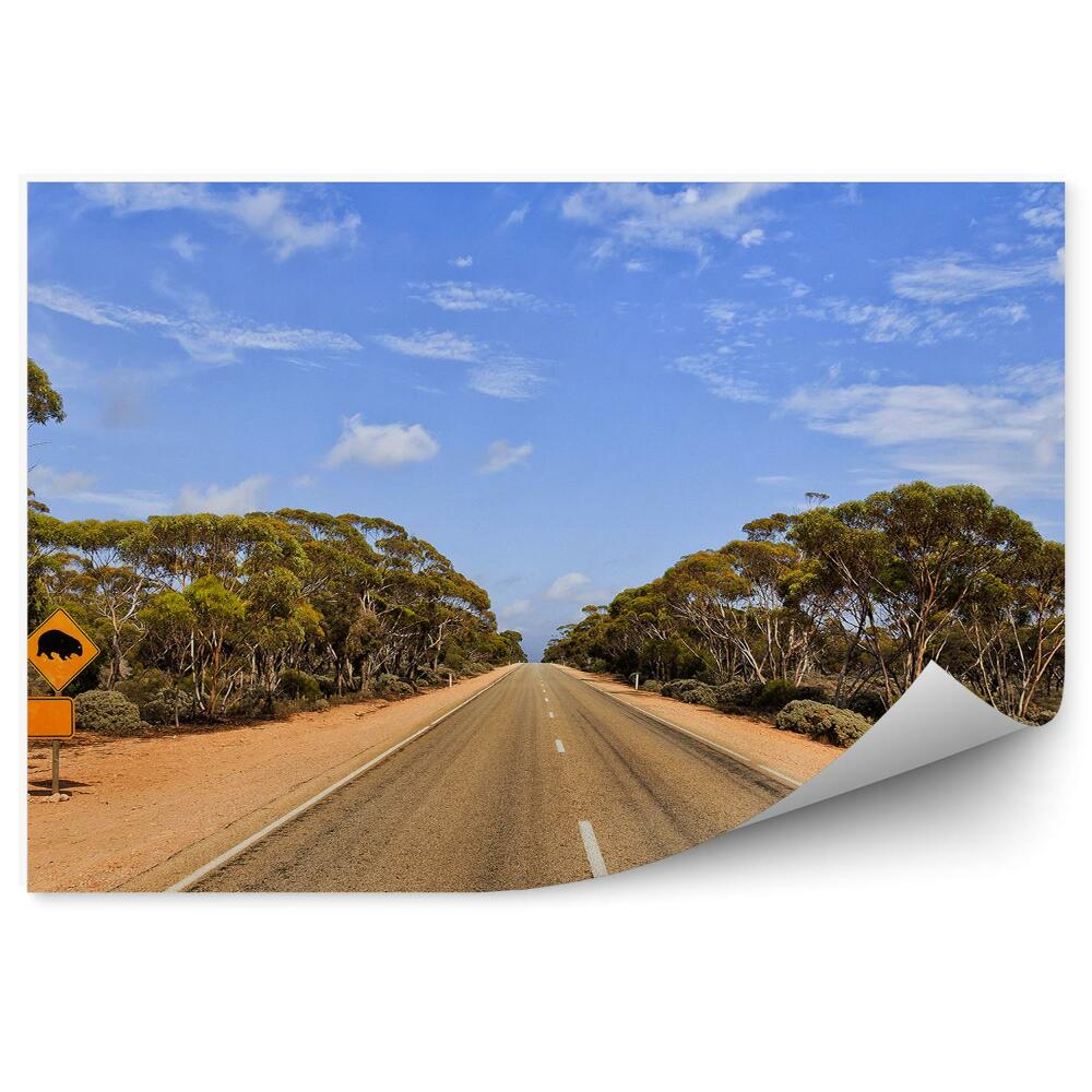 Fototapeta Dopravní značka silnice silnice příroda stromy