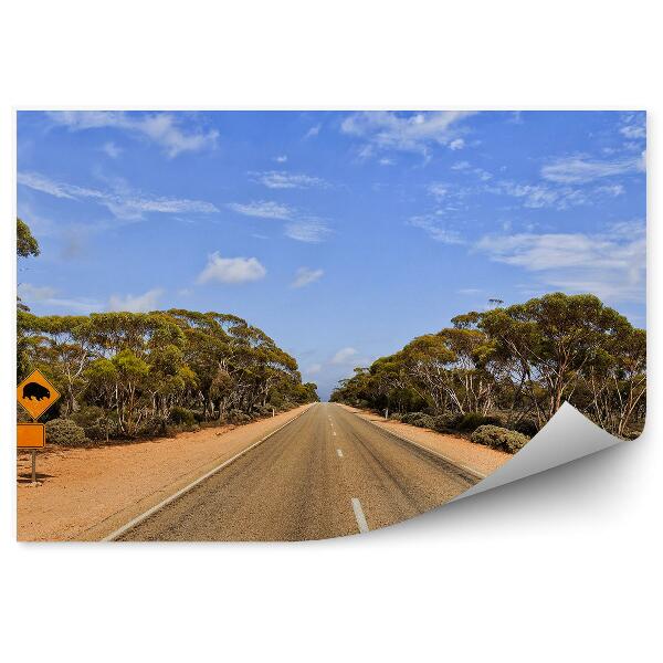 Fototapeta Dopravní značka silnice silnice příroda stromy