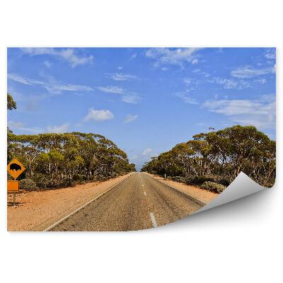 Fototapeta Dopravní značka silnice silnice příroda stromy