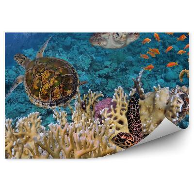 Fototapeta na zeď Želva a korálový útes
