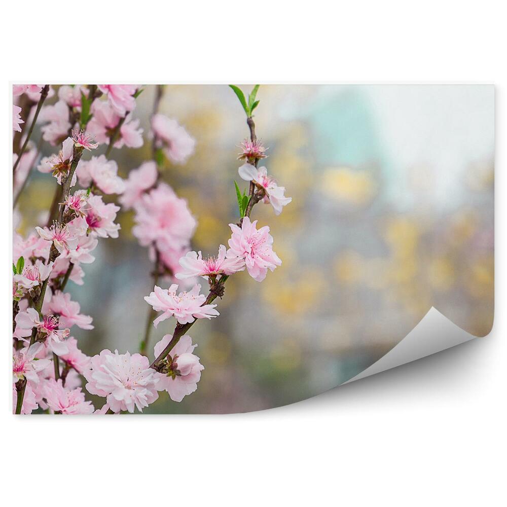 Fototapeta na zeď Třešňový květ příroda flóra zahrada Čína