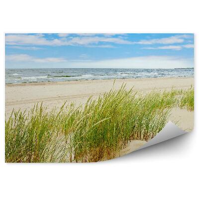 Samolepící fototapeta travnaté duny pláž Polsko Baltské moře