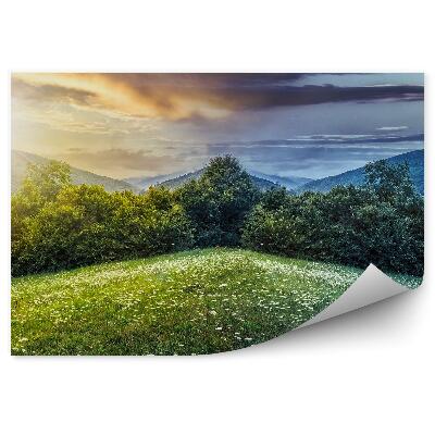 Samolepící fototapeta Zelená květinová paseka den noční slunce měsíc