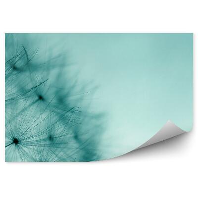 Fototapeta na zeď Semena pampelišky