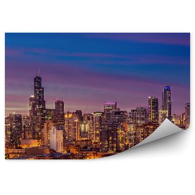 Samolepící tapeta Mrakodrapy oceán nebe mraky stromy silnice auta Chicago